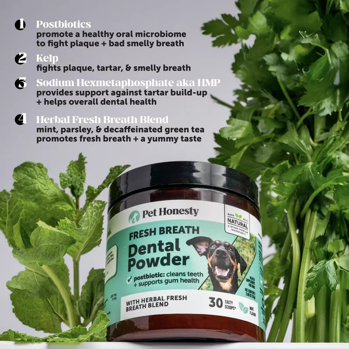 Pet Honesty Fresh Breath Dental Powder Mint Flavor for Dogs - 5.29Oz