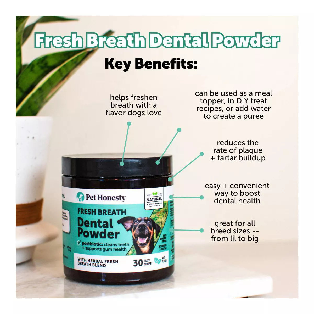 Pet Honesty Fresh Breath Dental Powder Mint Flavor for Dogs - 5.29Oz
