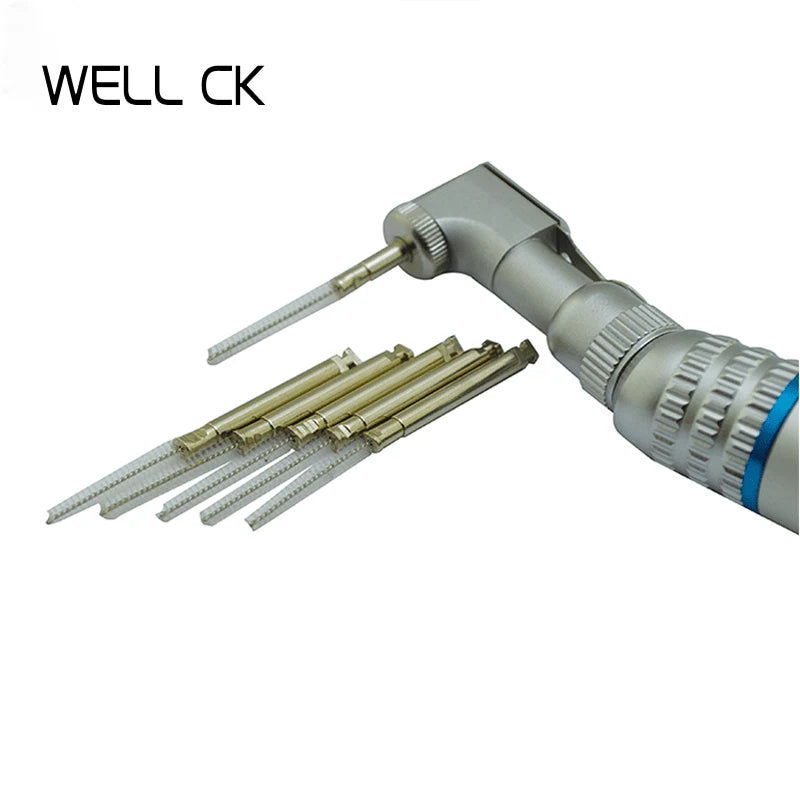 10Pcs Dental Materials Dentistry Root Clean Brush Odontologia Dentist Tools RA Shank Teeth Clean Dental Instrument