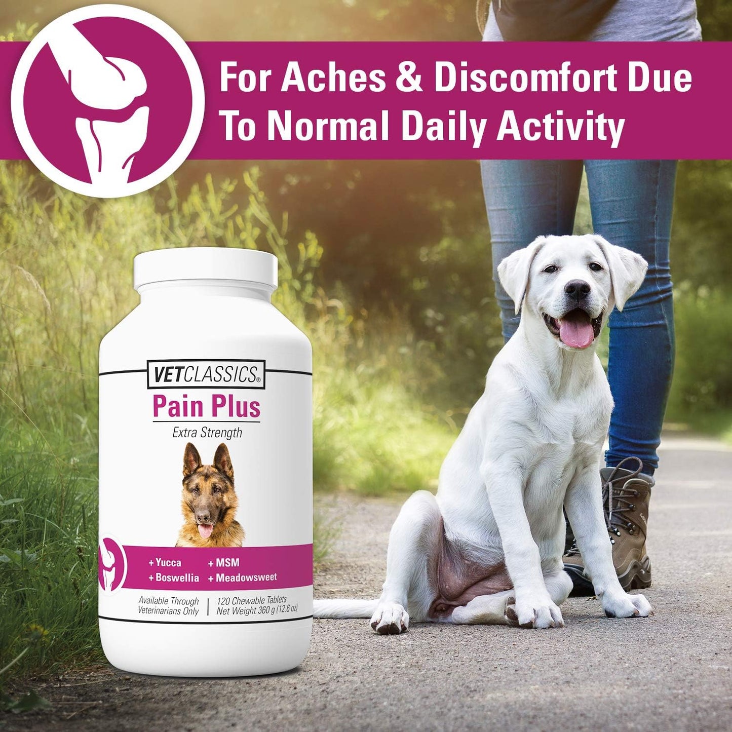 Pain plus Extra Strength Health Supplement for Dogs - 120 Chewable Tablets