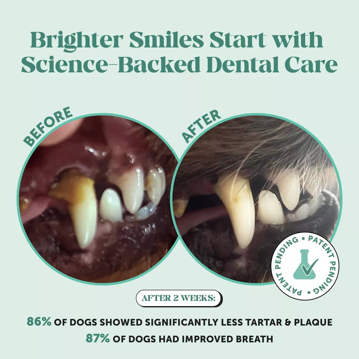 Pet Honesty Fresh Breath Dental Powder Mint Flavor for Dogs - 5.29Oz